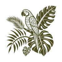 Coloured toucan design vector
