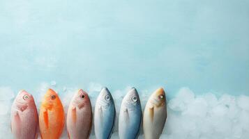 Freshly Caught Fish Displayed on Ice Against Light Blue Background with Minimalist Aesthetic photo