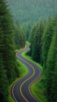Winding Curved Road Through Emerald Forest Surrounded by Lush Green Trees in Scenic Nature Landscape photo