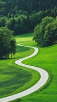 Winding Road Cutting Through Symmetrical Farmland Surrounded by Lush Green Trees and Verdant Fields photo