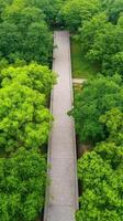 Aerial View of a Magical Garden with Floating Bridges Surrounded by Lush Greenery photo