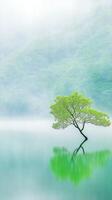 Glowing Tree Standing Alone in Magical Fog Above Still Lake Surrounded by Lush Green Wilderness photo
