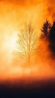 Enchanting Tree Bathed in Glowing Mist Above a Still Lake at Twilight photo