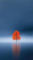 Glowing Orange Tree Standing Alone in Mystical Fog Above Calm Lake at Dawn photo