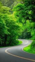 Winding Road Curving Through Lush Emerald Forest with Dense Greenery and Scenic Nature View photo