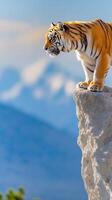 Majestic Royal Tigers Walking Gracefully on Floating Mountain in Beautiful Natural Landscape photo