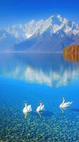 Serene Crystal Clear Lake with Snowy Mountains and Swans Under Bright Blue Sky photo