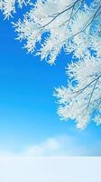 Frosted Tree Branches Glowing Under Bright Blue Sky with Winter Vibes and Scenic Beauty photo