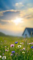 Bright and Vibrant Wildflowers Under a Glowing Sky Next to a White Glasshouse photo