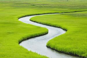 Scenic view of a beautiful river delta surrounded by lush green fields from above photo