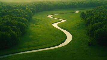 Aerial View of Winding River Surrounded by Lush Green Forest Landscape photo
