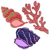 three shells and coral on a white background vector