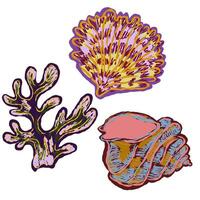 three different types of sea life on a white background vector