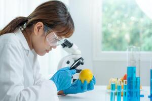 Scientist check chemical, food residues in laboratory. Control experts inspect quality of fruits, vegetables. lab, hazards, ROHs, find prohibited substances, contaminate, Microscope, Microbiologist photo
