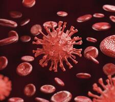 Virus infection In the circulation circulating in red blood cells. The concept of viruses and cells in the human body photo