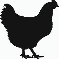 Chicken silhouette image isolated against white background farming and poultry vector