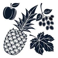 Silhouette style illustration of various fruits and a leaf vector