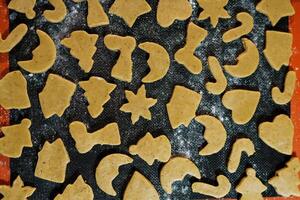Unbaked gingerbread cookies of various shapes on a baking sheet. Top view photo