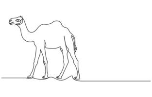 Eid ul adha concept camel Continuous one line art vector