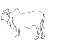 Eid ul adha concept cow Continuous one line art vector
