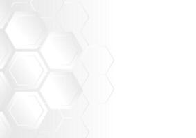 White hexagon abstract technology background vector