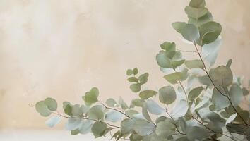 Soft Green Watercolor Eucalyptus Branches on Cream Background for Decorative Use. photo
