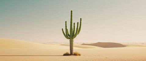 Experience the Vast Beauty of a Desert Landscape with a Lone Cactus Standing as a Symbol of Resilience Amid Endless Sands and Quiet Majesty photo