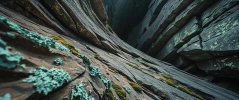 A view of a narrow canyon with moss growing on the rocks photo