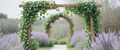 A wooden archway with ivy growing on it in a field photo