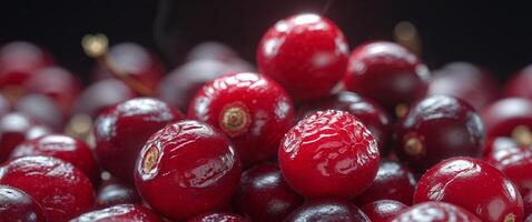 Close up of Juicy Red Cranberries with Shiny Texture and Dark Background photo