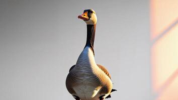 A goose standing on a ledge with a window behind it photo