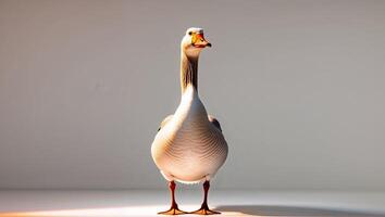 A goose standing on a white surface with a light shining on it photo