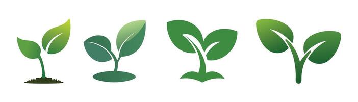 Sprout Illustrations for Growth, Nature, or Sustainability Design Projects vector