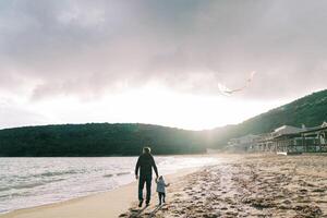 Dad and a little girl walk hand in hand along the seashore with a kite on a string. Back view photo