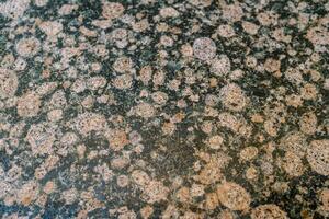 Abstract texture of granite with round splashes photo
