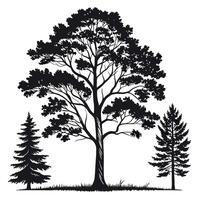 silhouette of a tree with a pine tree and a fir tree vector