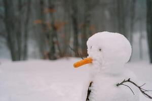 Snowman with a carrot nose stands in a snowy forest. Side view photo