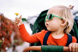 Little girl in sunglasses with a yellow dandelion in her hand sits in a stroller and looks away photo