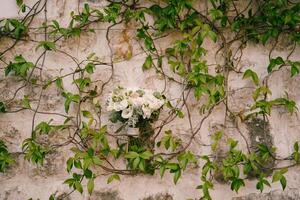 Bride bouquet on the stone wall of an old house entwined with green ivy photo