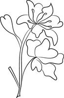 Single Line Drawing of a Lily Flower vector