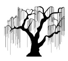A black and white illustration of a weeping willow tree vector