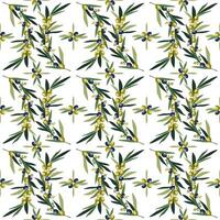 Mediterranean Seamless Pattern with Olive Branches vector