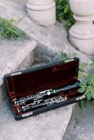 Clarinet in a box stands on the stone steps of a building photo