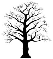 A black and white tree with no leaves vector