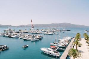 Expensive marina with rows of moored yachts at the piers and a harbor crane photo