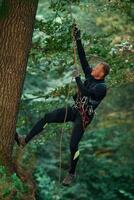 On the high tree, hanging. Man is doing climbing in the forest by use of safety equipment photo