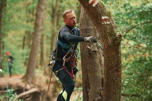 Process of preparing. Man is doing climbing in the forest by use of safety equipment photo
