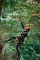 In sportive ,,clothes, high up on the rope. Woman is doing climbing in the forest by the use of safety equipment photo