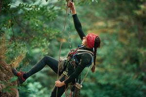 In s,portive, clothes, high up on the rope. Woman is doing climbing in the forest by the use of safety equipment photo
