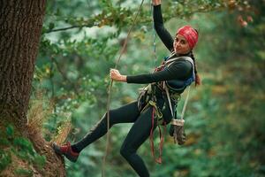 In sportive, clothes, high up on the rope. Woman is doing climbing in the forest by the use of safety equipment photo